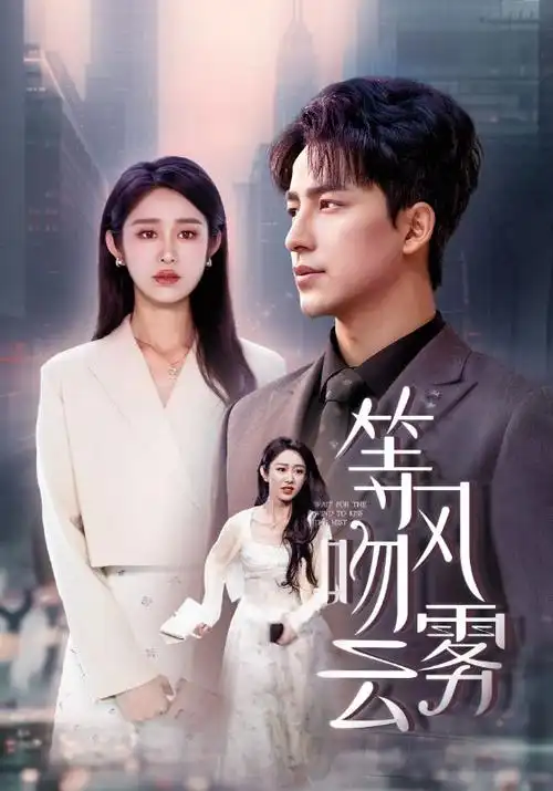 武动乾坤电视剧版 海报